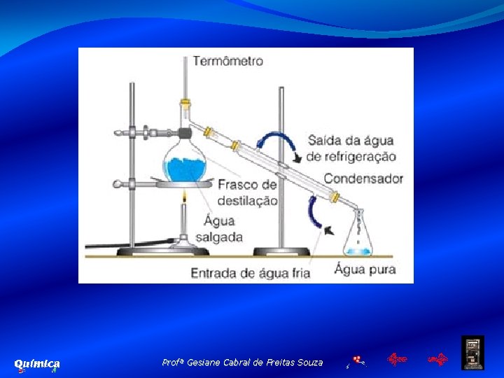 Profª Gesiane Cabral de Freitas Souza 