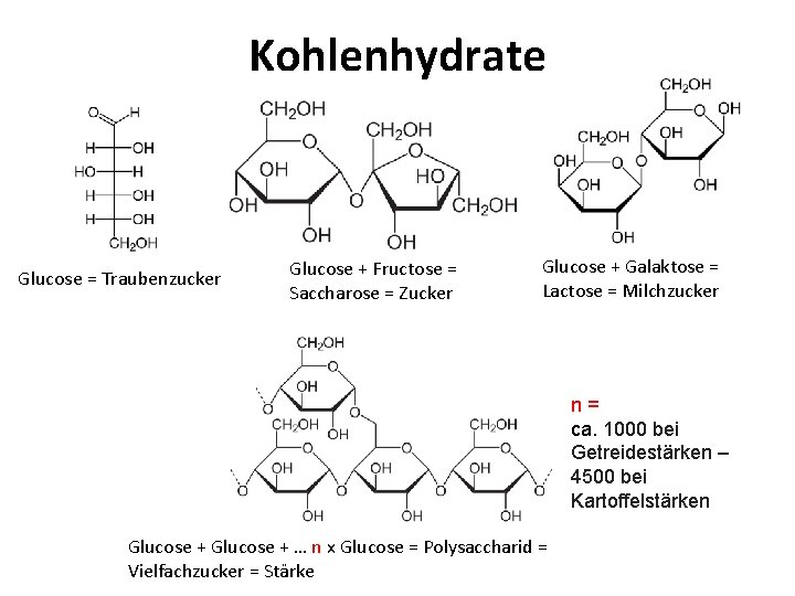 Kohlenhydrate Glucose = Traubenzucker Glucose + Fructose = Saccharose = Zucker Glucose + Galaktose