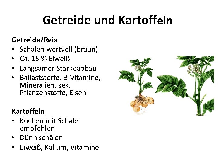 Getreide und Kartoffeln Getreide/Reis • Schalen wertvoll (braun) • Ca. 15 % Eiweiß •