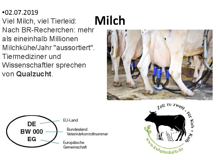  • 02. 07. 2019 Viel Milch, viel Tierleid: Nach BR-Recherchen: mehr als eineinhalb