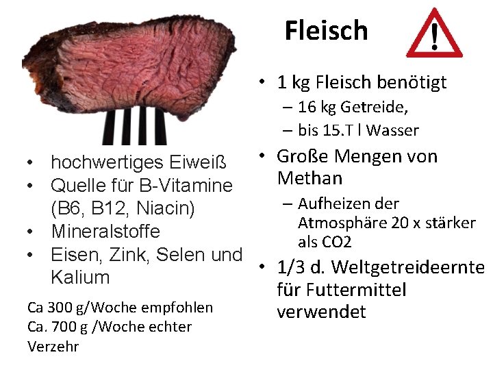 Fleisch • 1 kg Fleisch benötigt – 16 kg Getreide, – bis 15. T