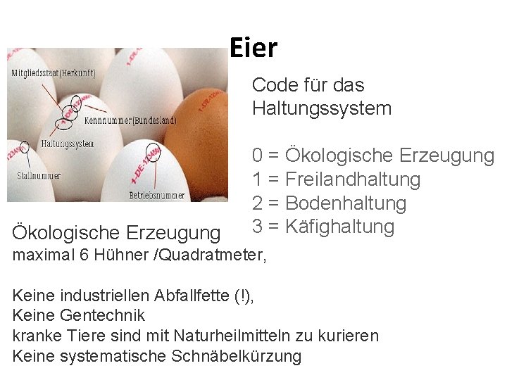 Eier Code für das Haltungssystem Ökologische Erzeugung 0 = Ökologische Erzeugung 1 = Freilandhaltung