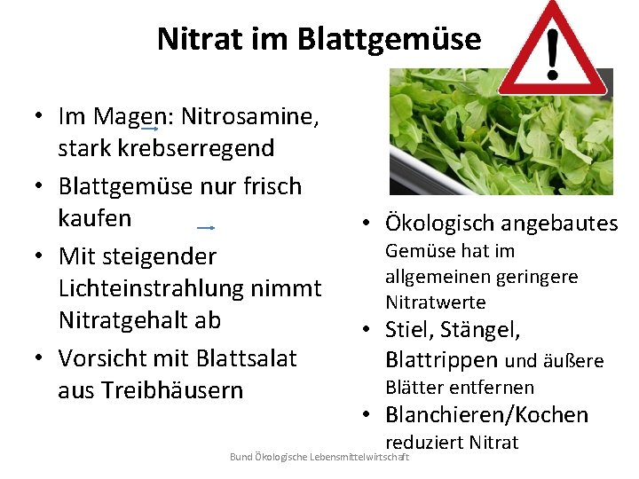 Nitrat im Blattgemüse • Im Magen: Nitrosamine, stark krebserregend • Blattgemüse nur frisch kaufen