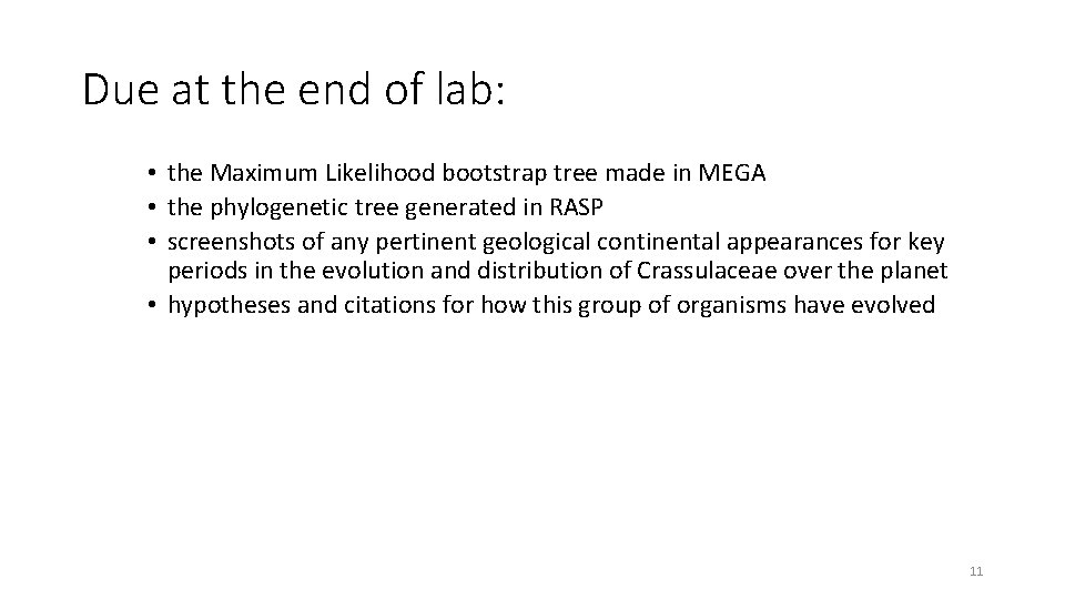 Due at the end of lab: • the Maximum Likelihood bootstrap tree made in