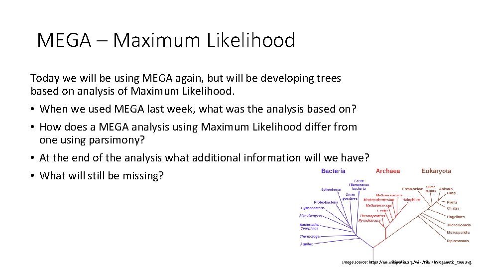 MEGA – Maximum Likelihood Today we will be using MEGA again, but will be