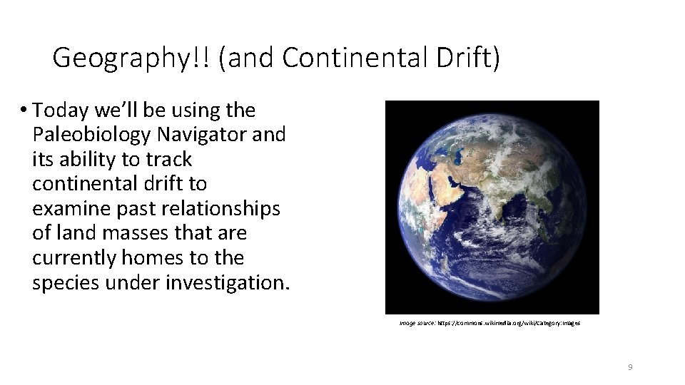 Geography!! (and Continental Drift) • Today we’ll be using the Paleobiology Navigator and its