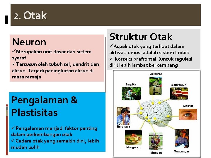2. Otak Neuron üMerupakan unit dasar dari sistem syaraf üTersusun oleh tubuh sel, dendrit