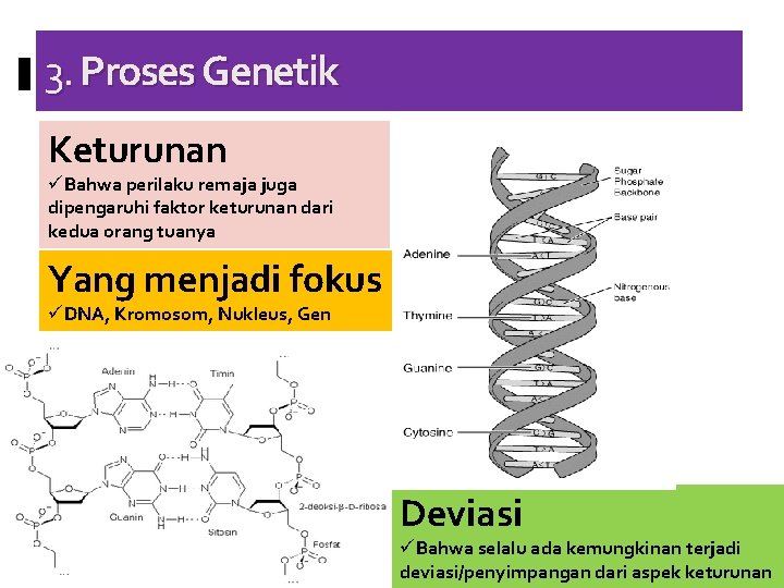 3. Proses Genetik Keturunan üBahwa perilaku remaja juga dipengaruhi faktor keturunan dari kedua orang