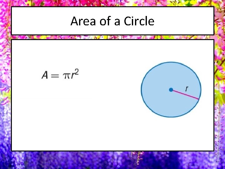 Area of a Circle 