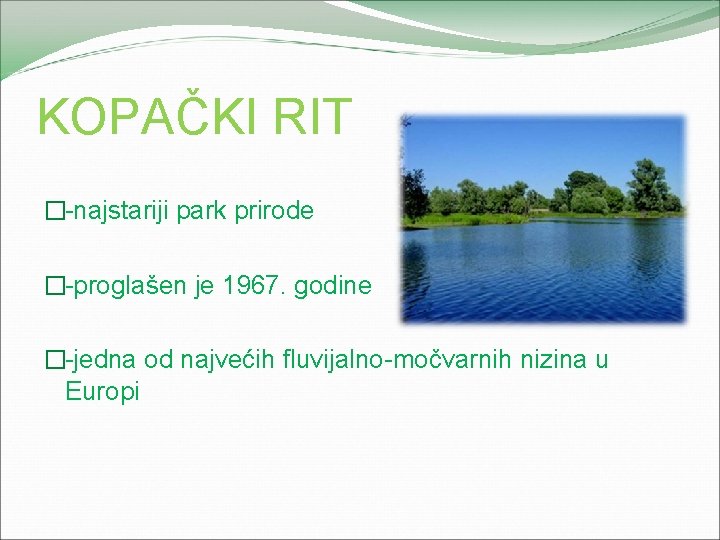 KOPAČKI RIT �-najstariji park prirode �-proglašen je 1967. godine �-jedna od najvećih fluvijalno-močvarnih nizina