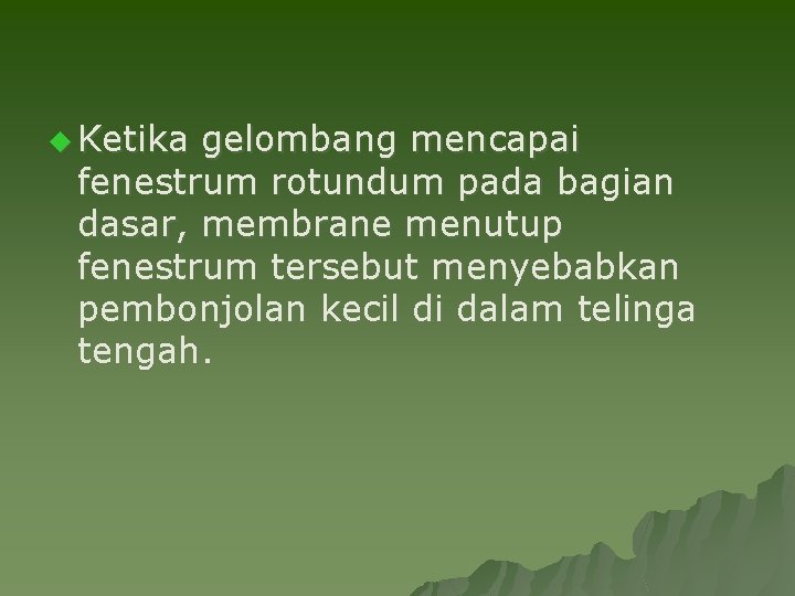 u Ketika gelombang mencapai fenestrum rotundum pada bagian dasar, membrane menutup fenestrum tersebut menyebabkan