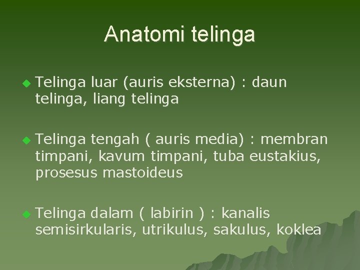 Anatomi telinga u u u Telinga luar (auris eksterna) : daun telinga, liang telinga