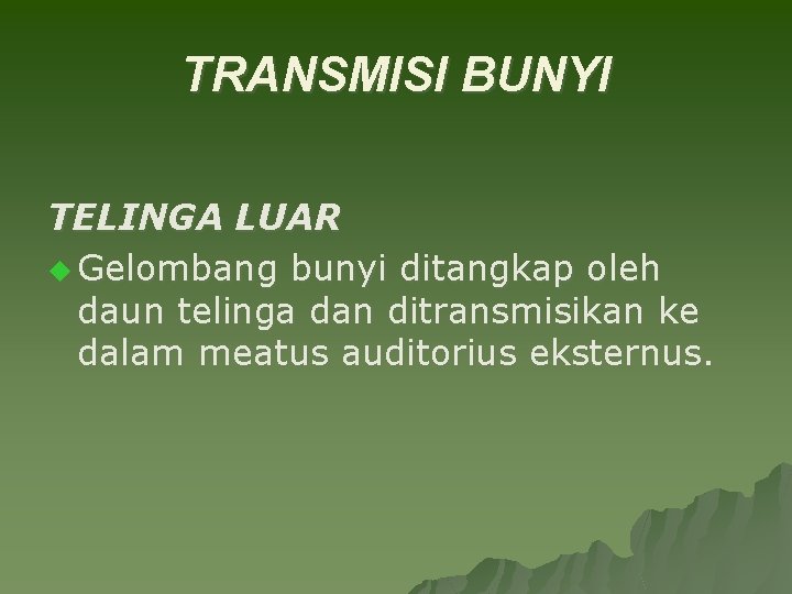 TRANSMISI BUNYI TELINGA LUAR u Gelombang bunyi ditangkap oleh daun telinga dan ditransmisikan ke