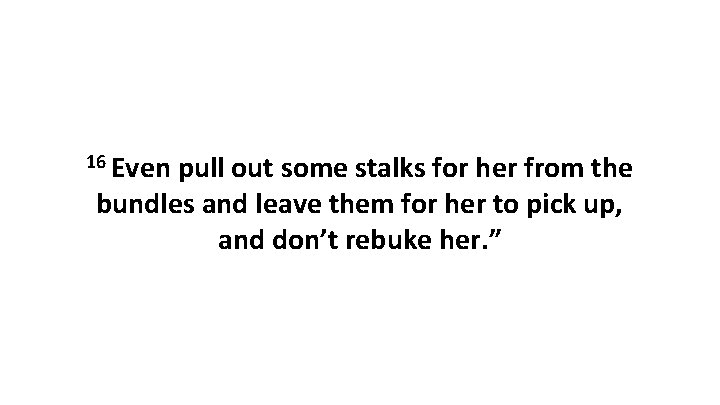 16 Even pull out some stalks for her from the bundles and leave them