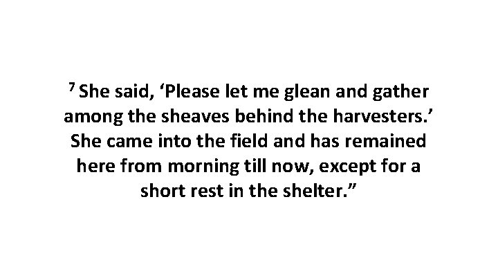 7 She said, ‘Please let me glean and gather among the sheaves behind the