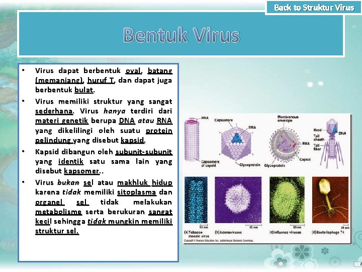 Back to Struktur Virus Bentuk Virus • • Virus dapat berbentuk oval , batang