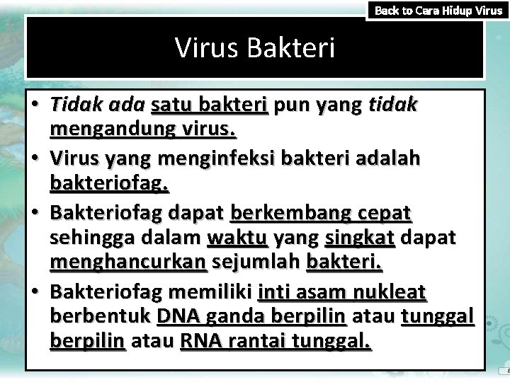 Back to Cara Hidup Virus Bakteri • Tidak ada satu bakteri pun yang tidak