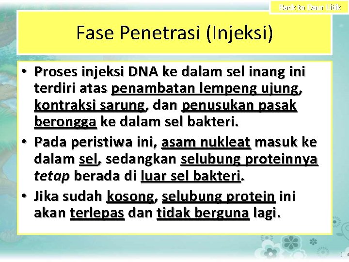Back to Daur Litik Fase Penetrasi (Injeksi) • Proses injeksi DNA ke dalam sel
