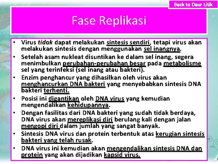 Back to Daur Litik Fase Replikasi • Virus tidak dapat melakukan sintesis sendiri ,
