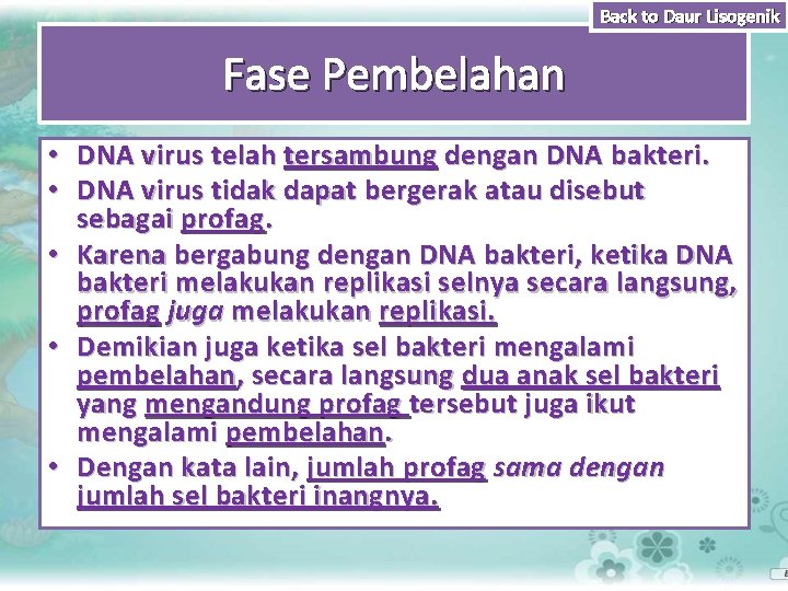 Back to Daur Lisogenik Fase Pembelahan • DNA virus telah tersambung dengan DNA bakteri.