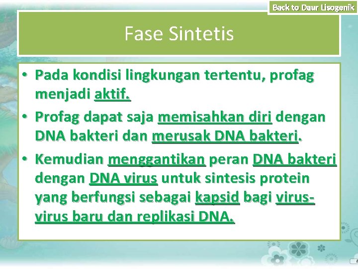 Back to Daur Lisogenik Fase Sintetis • Pada kondisi lingkungan tertentu, profag menjadi aktif.