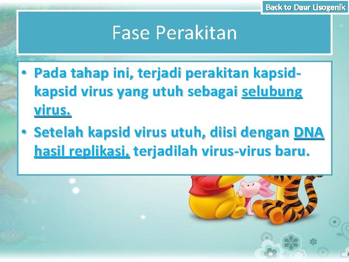 Back to Daur Lisogenik Fase Perakitan • Pada tahap ini, terjadi perakitan kapsid virus