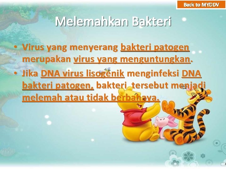Back to MYDDV Melemahkan Bakteri • Virus yang menyerang bakteri patogen merupakan virus yang