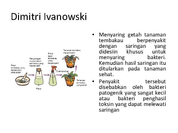 Dimitri Ivanowski • Menyaring getah tanaman tembakau berpenyakit dengan saringan yang didesiin khusus untuk