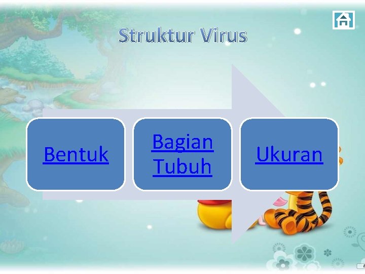 Struktur Virus Bentuk Bagian Tubuh Ukuran 