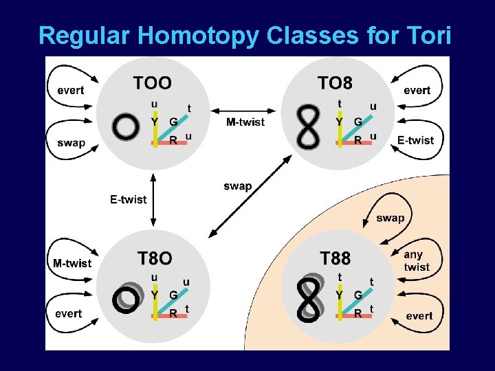 Regular Homotopy Classes for Tori 