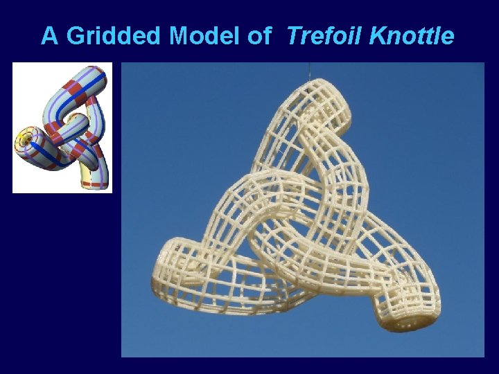 A Gridded Model of Trefoil Knottle 