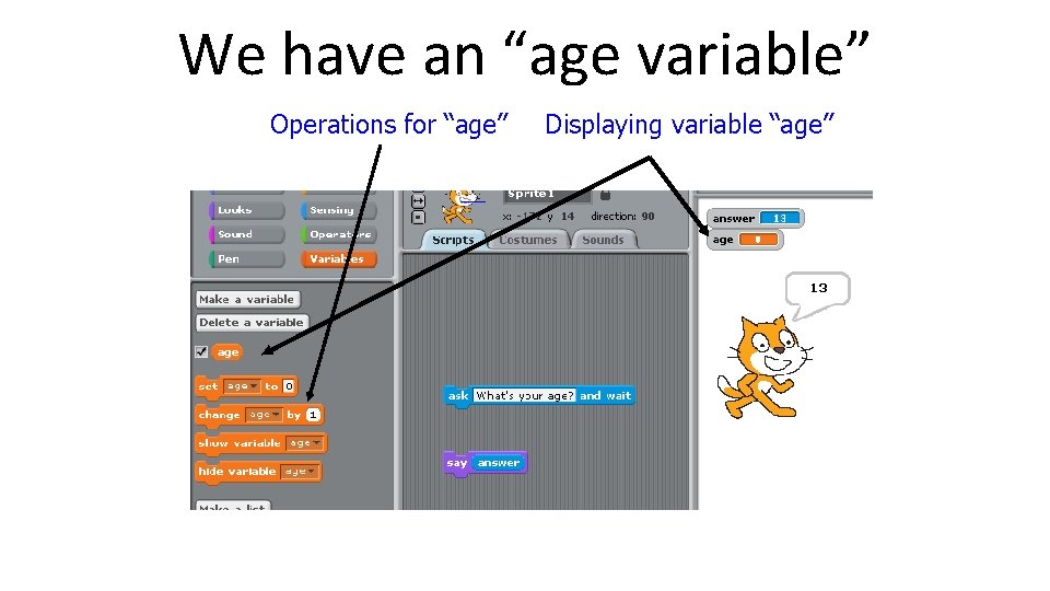 We have an “age variable” Operations for “age” Displaying variable “age” We have an “age variable” Operations for “age” Displaying variable “age”