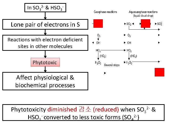 In SO 32 - & HSO 3 - Lone pair of electrons in S