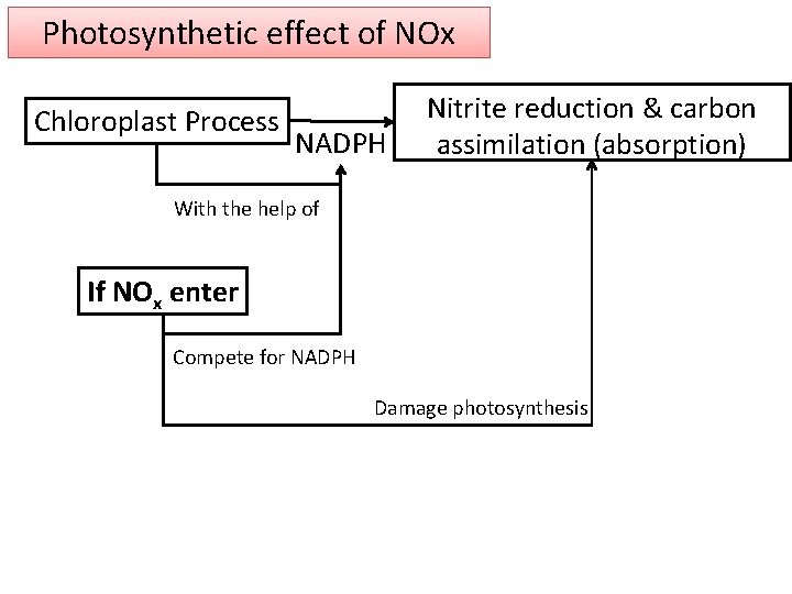 Photosynthetic effect of NOx Chloroplast Process NADPH Nitrite reduction & carbon assimilation (absorption) With