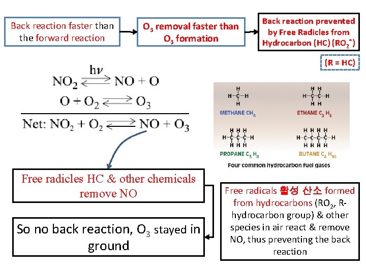 Back reaction faster than the forward reaction O 3 removal faster than O 3