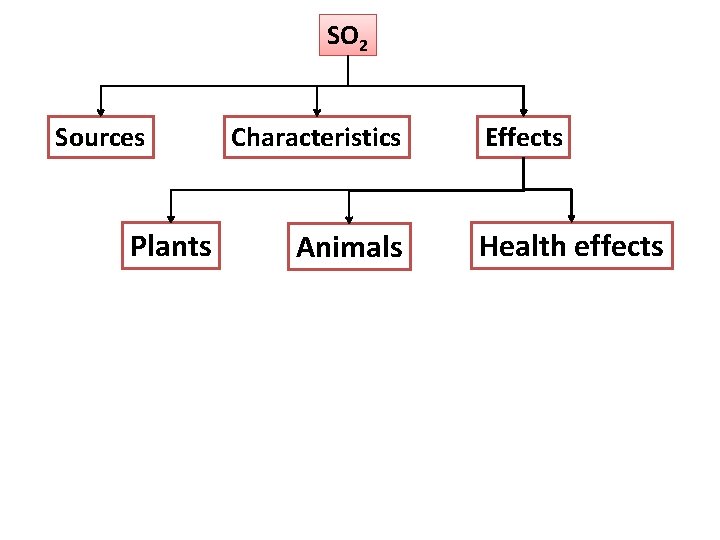 SO 2 Sources Plants Characteristics Animals Effects Health effects SO 2 Sources Plants Characteristics Animals Effects Health effects