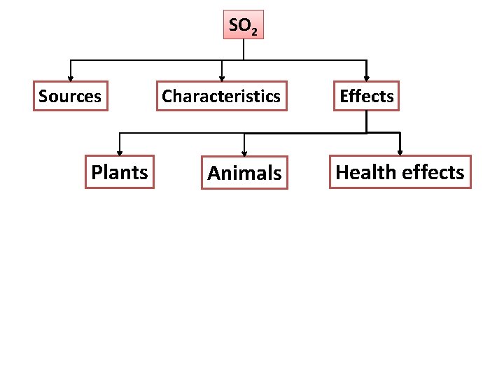 SO 2 Sources Plants Characteristics Animals Effects Health effects 