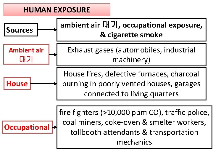 HUMAN EXPOSURE Sources Ambient air 대기 House Occupational ambient air 대기, occupational exposure, &