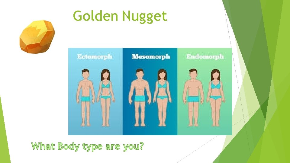 Golden Nugget What Body type are you? 