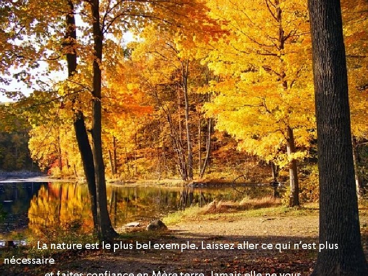 La nature est le plus bel exemple. Laissez aller ce qui n’est plus nécessaire