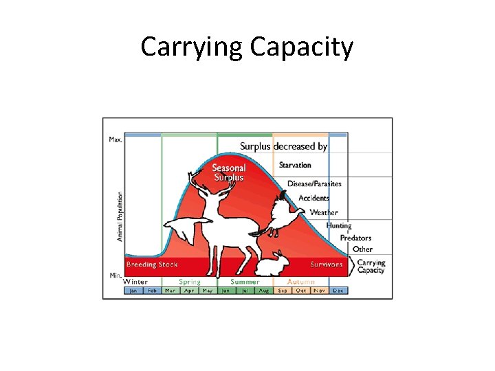 Carrying Capacity 