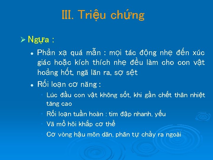 III. Triệu chứng Ø Ngựa l l : Phản xạ quá mẫn : mọi