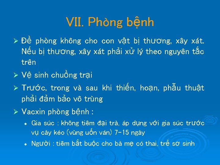 VII. Phòng bệnh Đề phòng không cho con vật bị thương, xây xát. Nếu