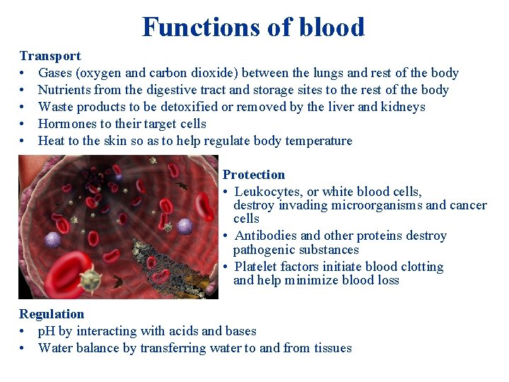Functions of blood Transport • Gases (oxygen and carbon dioxide) between the lungs and Functions of blood Transport • Gases (oxygen and carbon dioxide) between the lungs and