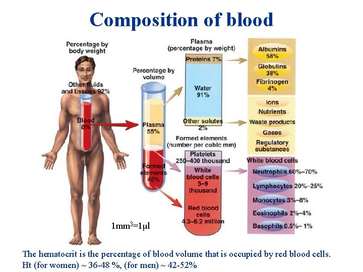 Composition of blood 1 mm 3=1μl The hematocrit is the percentage of blood volume Composition of blood 1 mm 3=1μl The hematocrit is the percentage of blood volume