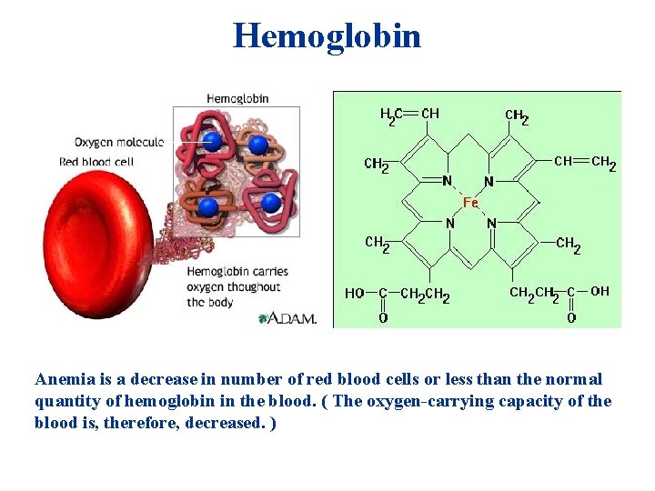 Hemoglobin Anemia is a decrease in number of red blood cells or less than Hemoglobin Anemia is a decrease in number of red blood cells or less than
