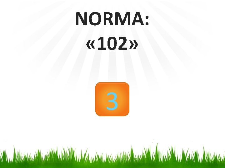 NORMA: « 102» 3 