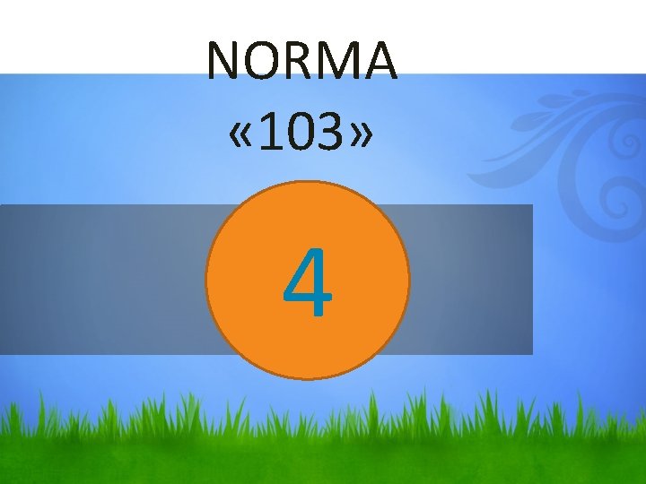 NORMA « 103» 4 