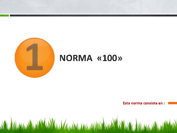 1 NORMA « 100» Esta norma consiste en : 