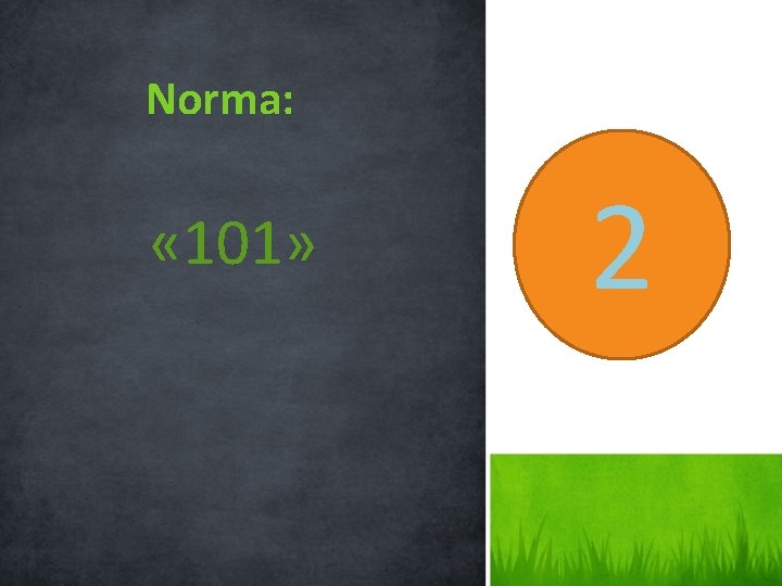 Norma: « 101» 2 